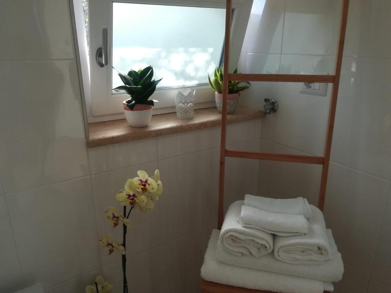 B&B Il Sogno 산타마리아디카스텔라바테 외부 사진